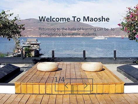 猫舍青旅 企业平台 网页设计