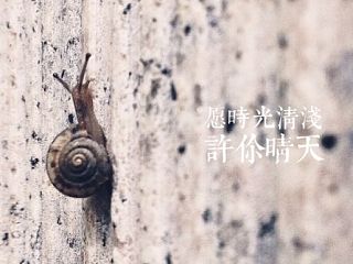 《雨后 晴天》