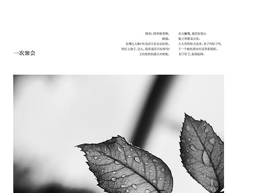 画册排版之20网格尝试