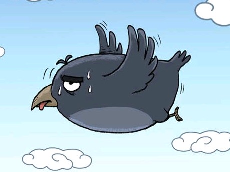 聪明的乌鸦动画片图片