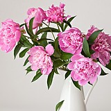 FY7758521的头像