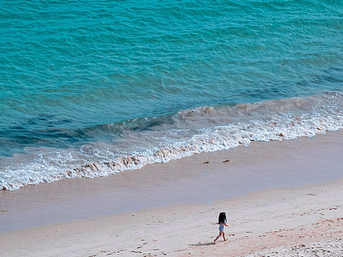 海