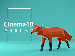 C4D毕业总结