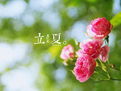 夏天的味道