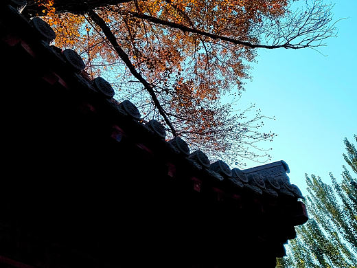 心静（个人主页-ZNTc1MjY1ODA=） - 风光摄影 - 站酷设计师Z74021607原创素材 - 站酷ZCOOL