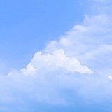 来瓶koko的头像