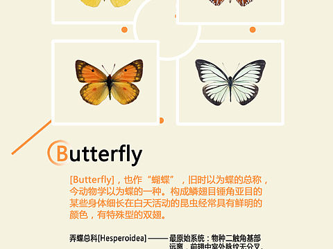 版式设计