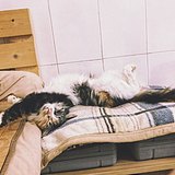 DaPing_He的头像