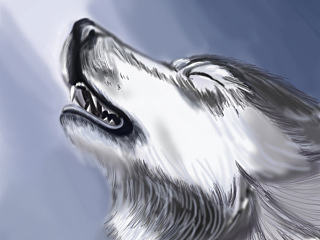 练习绘画