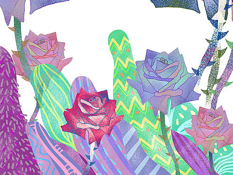 花 数字手绘插画