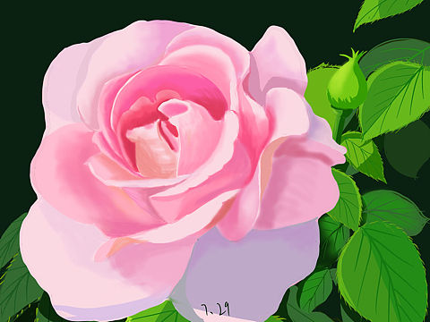 花卉水果系列插画