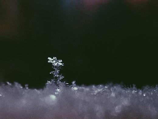 街拍——北京的雪