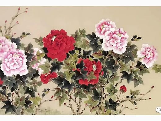 范璞(范小婉)老师作品欣赏