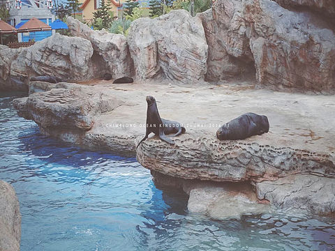 三年前的珠海长隆海洋王国