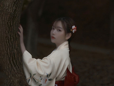 和服.暗调