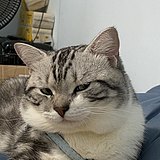 用户头像