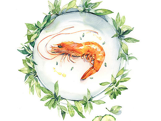 时光食记 | 水彩绘