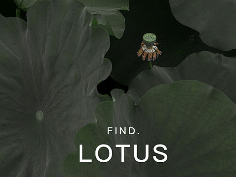 某一个夏天的某一个下午