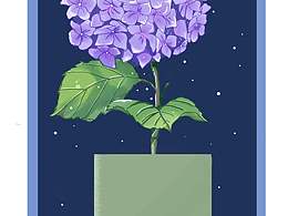 绣球花