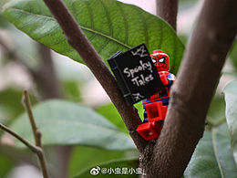 LEGO｜Spidey 蜘蛛俠