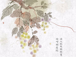 插画