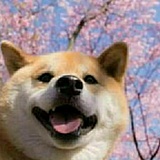 乌拉X乌拉的头像