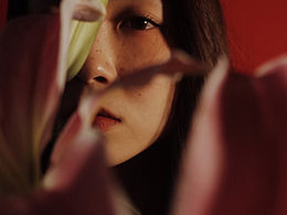 <b class='hightlight'>百合</b>