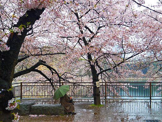 獨賞（個人主頁-ZNDYwNTE4ODA=） - 人文/紀實攝影 - 站酷設計師LZC1001原創(chuàng)素材 - 站酷ZCOOL