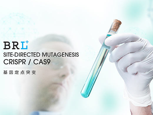 生物科技官网-DESIGN GG