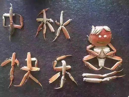 虎猫侠之《中秋节吃货的创意艺术》