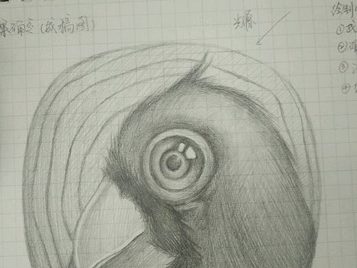 练手哒～