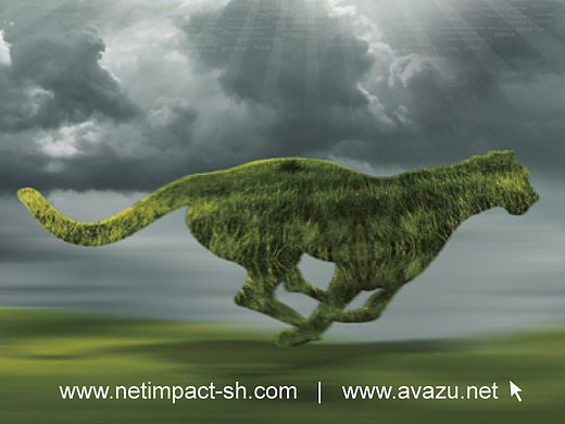 廣告 平面&互動(dòng)（個(gè)人主頁(yè)-ZMzQ5NjM4NA==） - 宣傳物料 - 站酷設(shè)計(jì)師974322原創(chuàng)素材 - 站酷ZCOOL