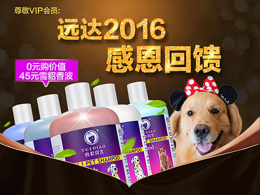 宠物 淘宝天猫手机端猫专区 手机端页面 猫咪20160307
