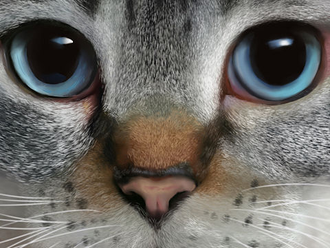 临摹一张喵星人（个人主页-ZMTgyNzMzNzI=） - 创作习作 - 站酷设计师davidyan114原创素材 - 站酷ZCOOL