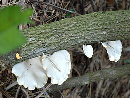 我的家鄉(xiāng)攝影