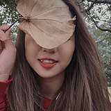 Coralxs的头像