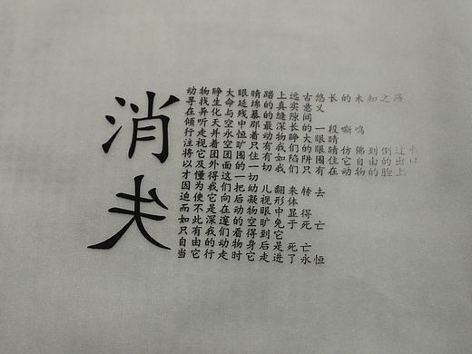 概念书籍“消失”