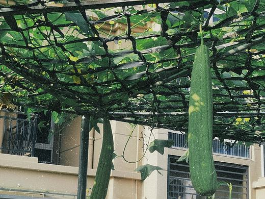 隐藏在照片里的 碎碎 念（个人主页-ZNTQ4OTY5NjQ=） - 人文/纪实摄影 - 站酷设计师落花流水Fqj原创素材 - 站酷ZCOOL