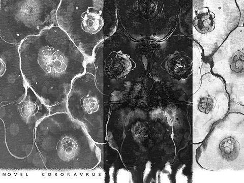 作业——疫情 海报