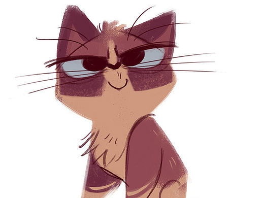 猫