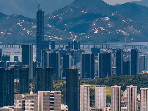 深圳湾全景纪实