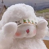 蒙眼看世界667的头像