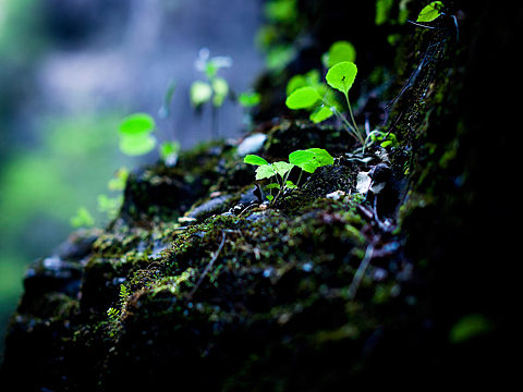 百里峡（个人主页-ZMjQ0NTQzMTY=） - 产品摄影 - 站酷设计师阿宝摄影原创素材 - 站酷ZCOOL