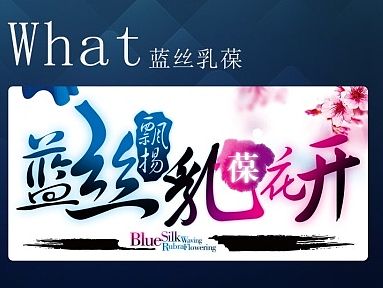 健康内衣行业网站界面