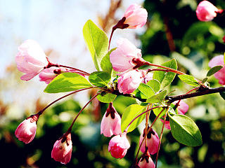 【韶光易逝,我只想留住你的美】