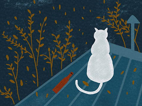 插画风景Day9-赏月