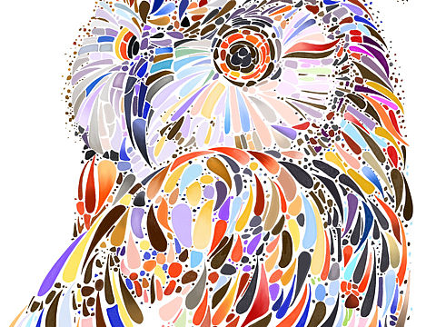 能看出来是啥么（个人主页-ZNDMyNjg0OTI=） - 绘本 - 站酷设计师提咯醉咯哦原创素材 - 站酷ZCOOL