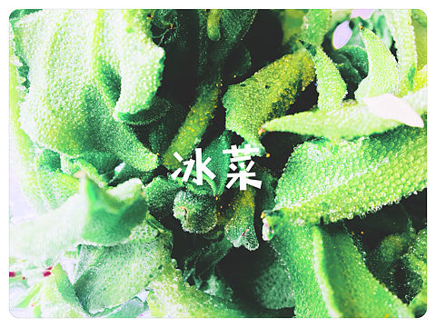 樹皮攝影練習(xí)（個人主頁-ZMjc1OTUwNTI=） - 產(chǎn)品攝影 - 站酷設(shè)計(jì)師米蘭萌原創(chuàng)素材 - 站酷ZCOOL