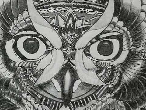 素描猫头鹰