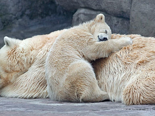 电商/滑雪手套详情页